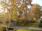 herbstimpressionen 06